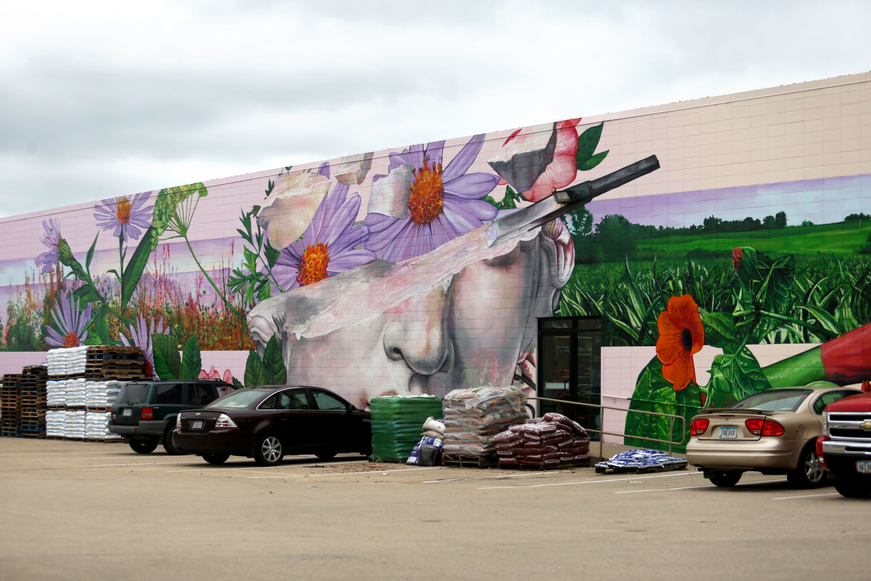 Murals Precontact
